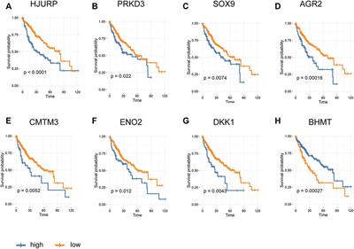 iTRAQ-Based Proteome Profiling of Differentially Expressed Proteins in Insulin-Resistant Human Hepatocellular Carcinoma